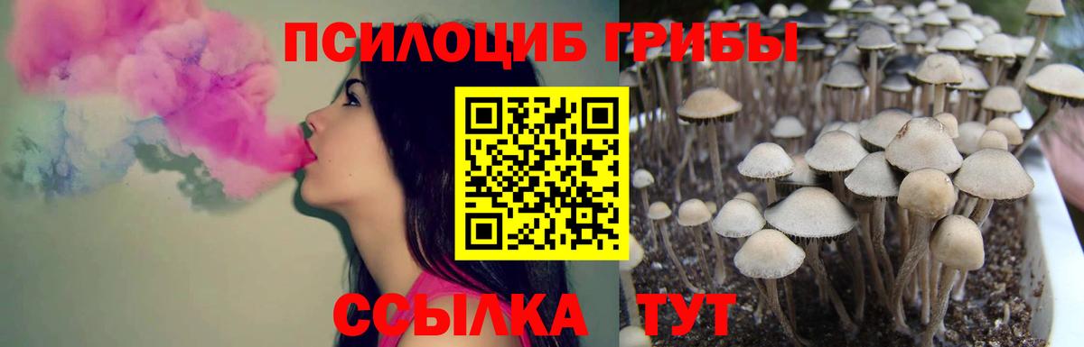 Липецк  Галлюциногенные грибы Psilocybe  где купить наркоту  Вход с VPN 
